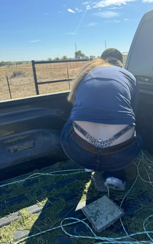 Tail poking out after unloading a truck full of hay🫣