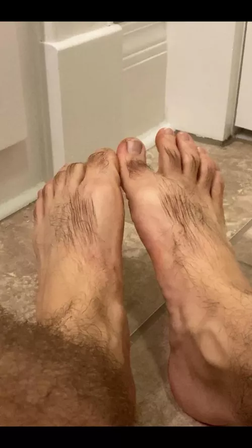 The return of dry weather requires some lotion to keep these big hairy feet in top shape. 