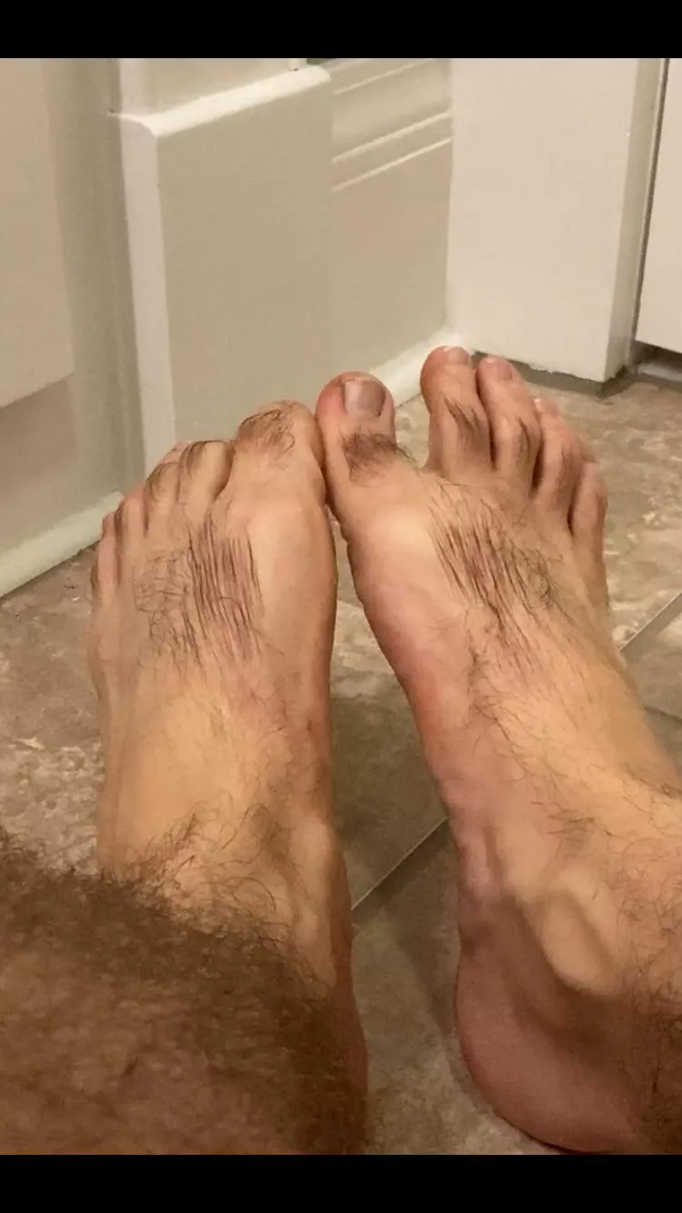 The return of dry weather requires some lotion to keep these big hairy feet in top shape. 