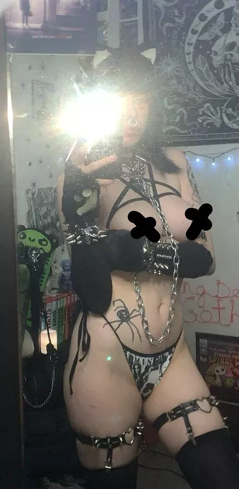 This cat is always horny