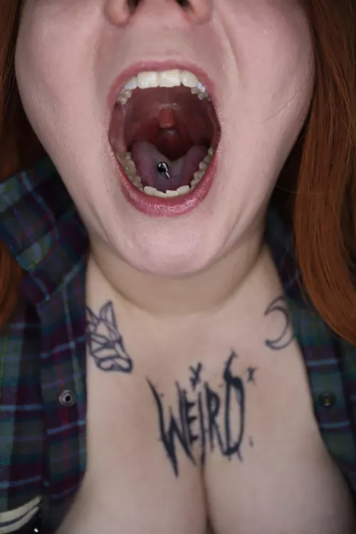 This is gonna be your last destination