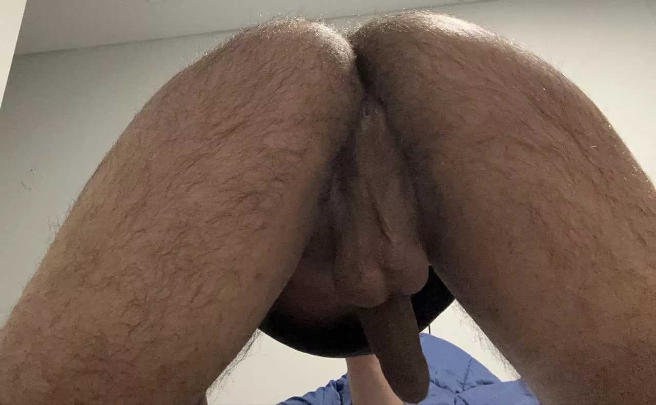 u/One_Attorney8436 offered his ass if he lost…