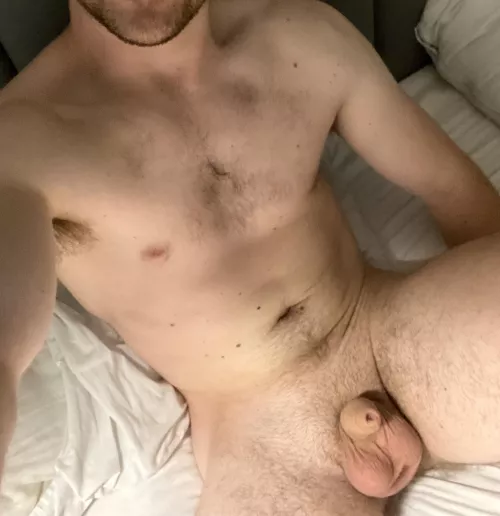 What should I post next?