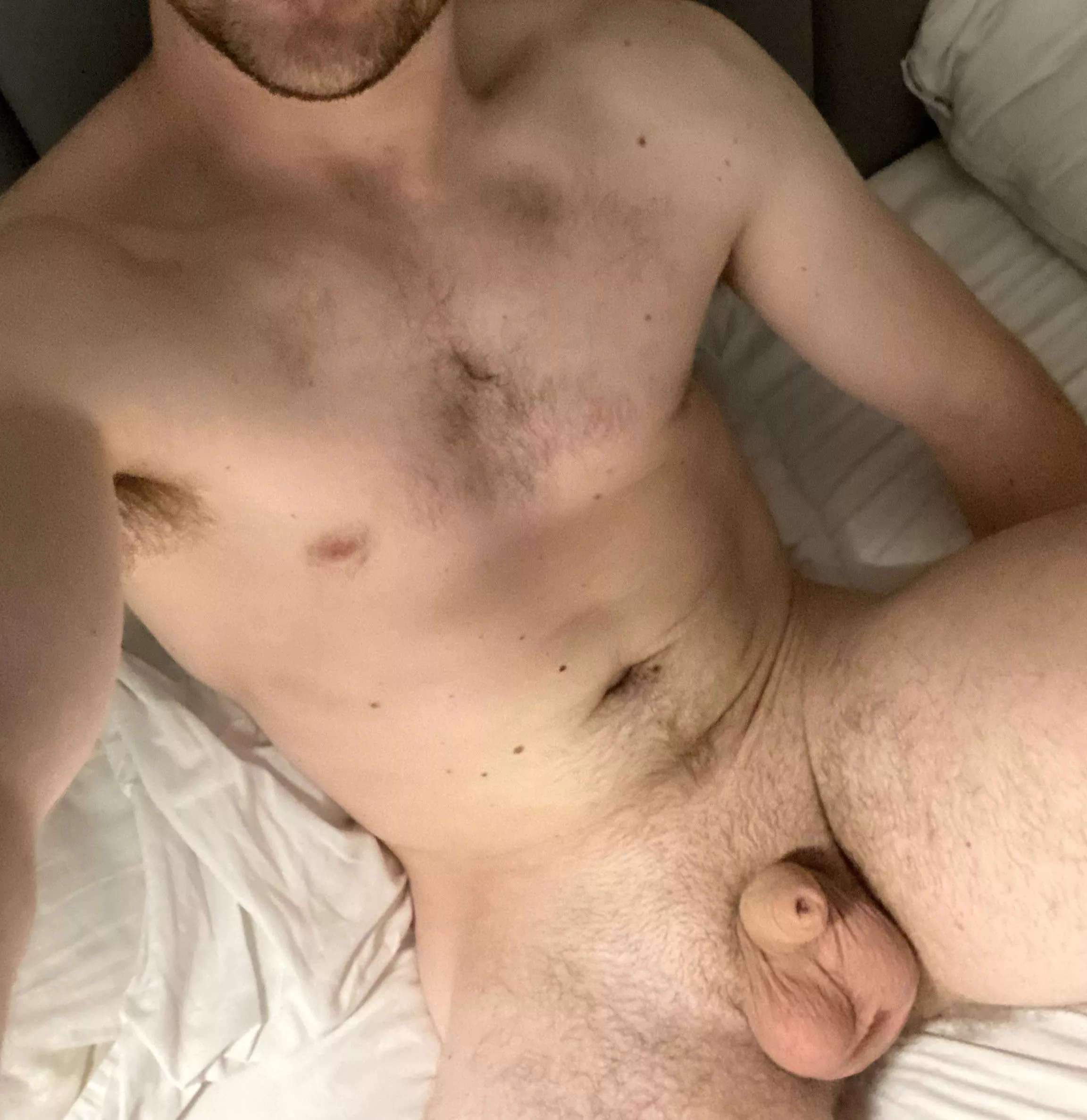 What should I post next? What should I post next?