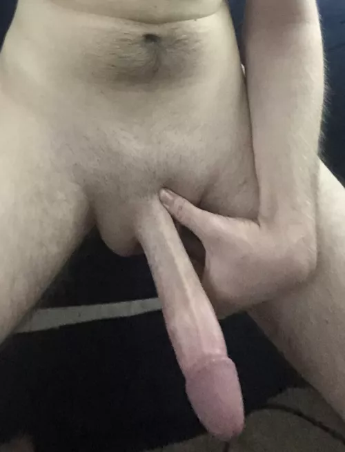 What’s my length 🤔