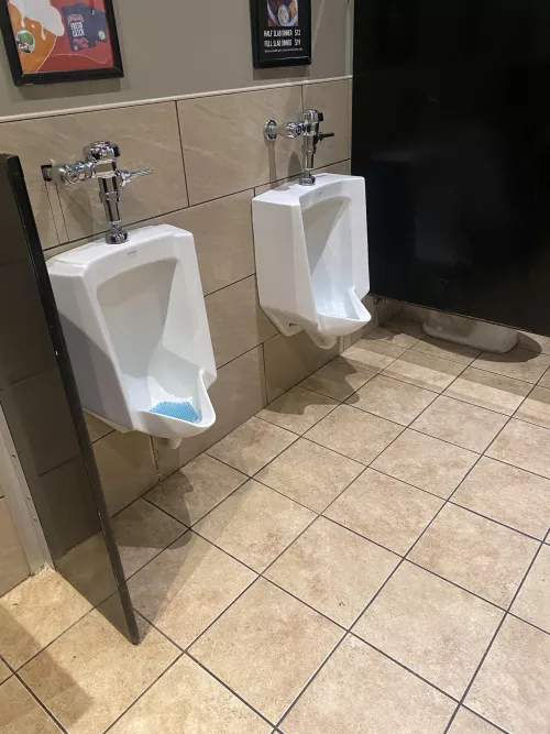 Winking Lizard (macedonia, OH) 