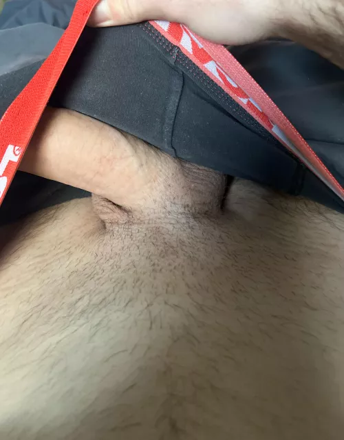 [30] wer bring mein fetten Schwanz zum kommen?🤤