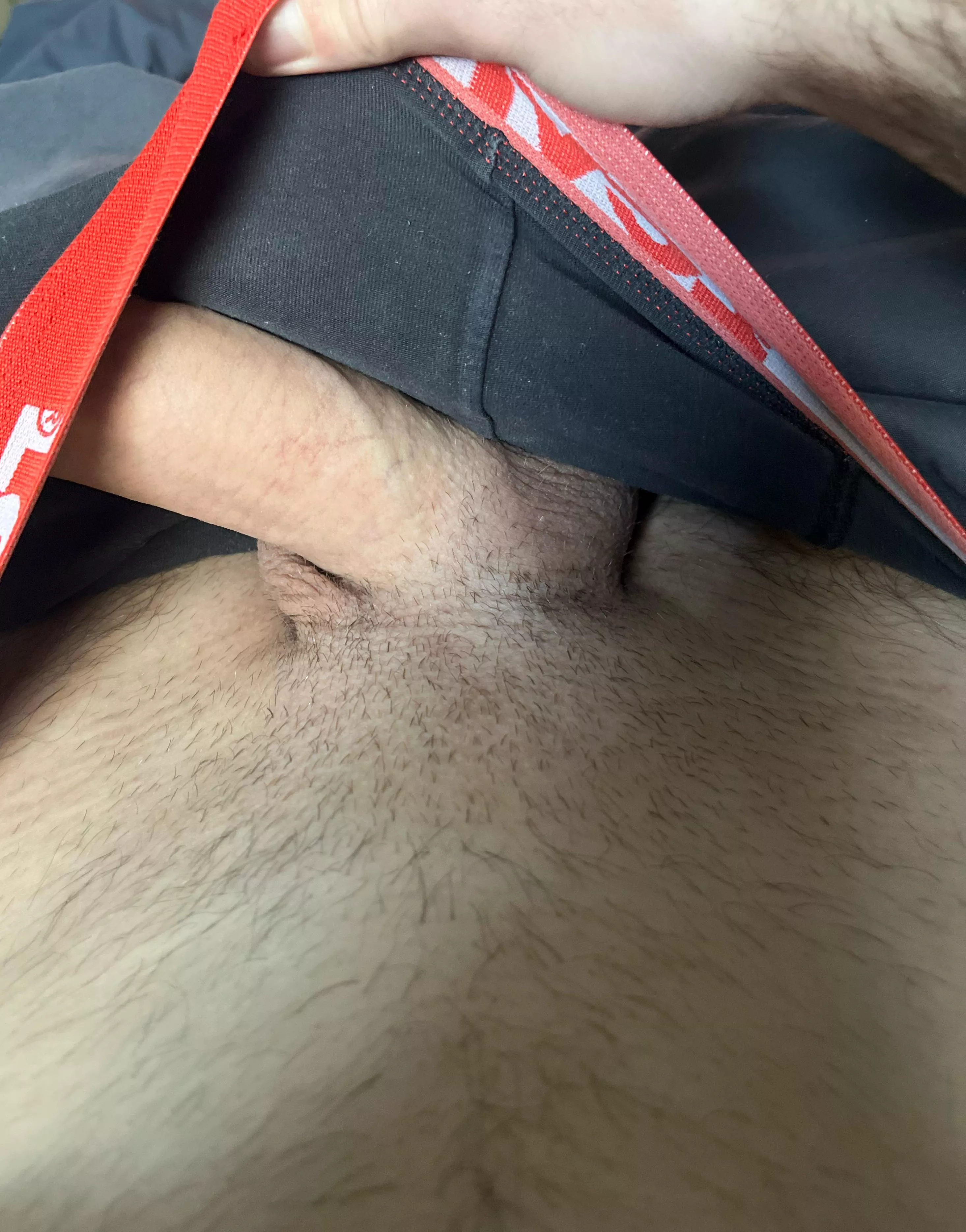 [30] wer bring mein fetten Schwanz zum kommen?🤤