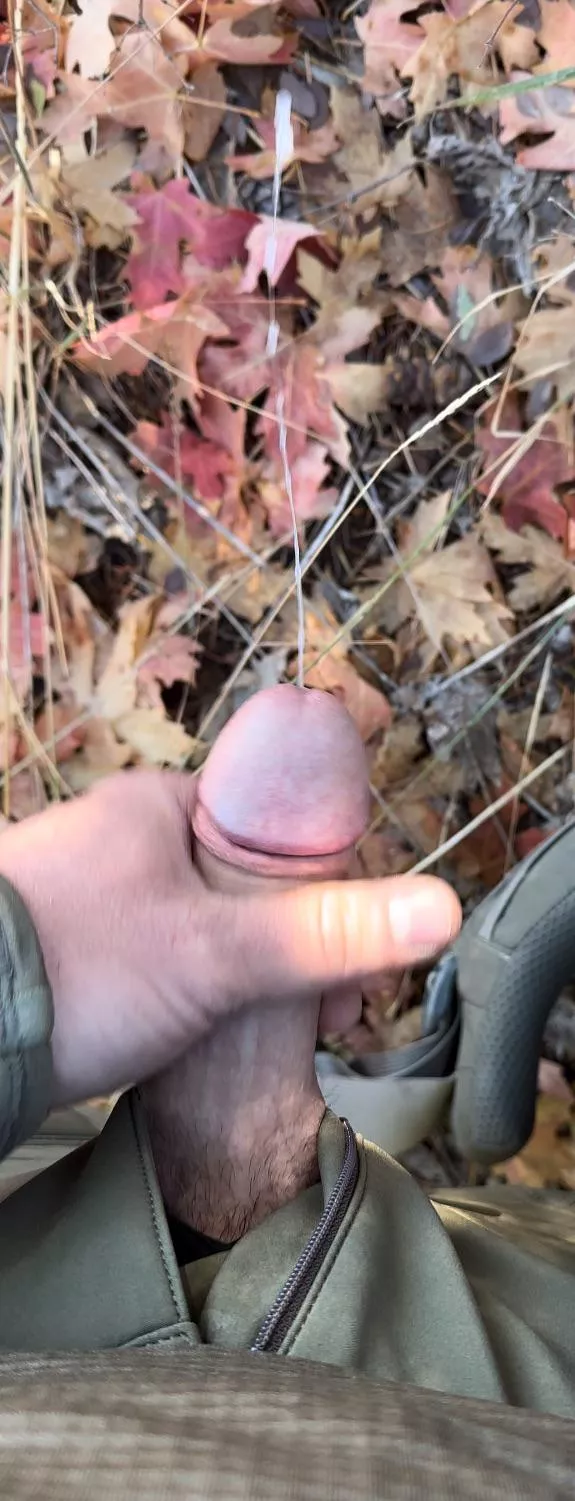 37 [m4f] what my average day in the woods looks like. Care to join 