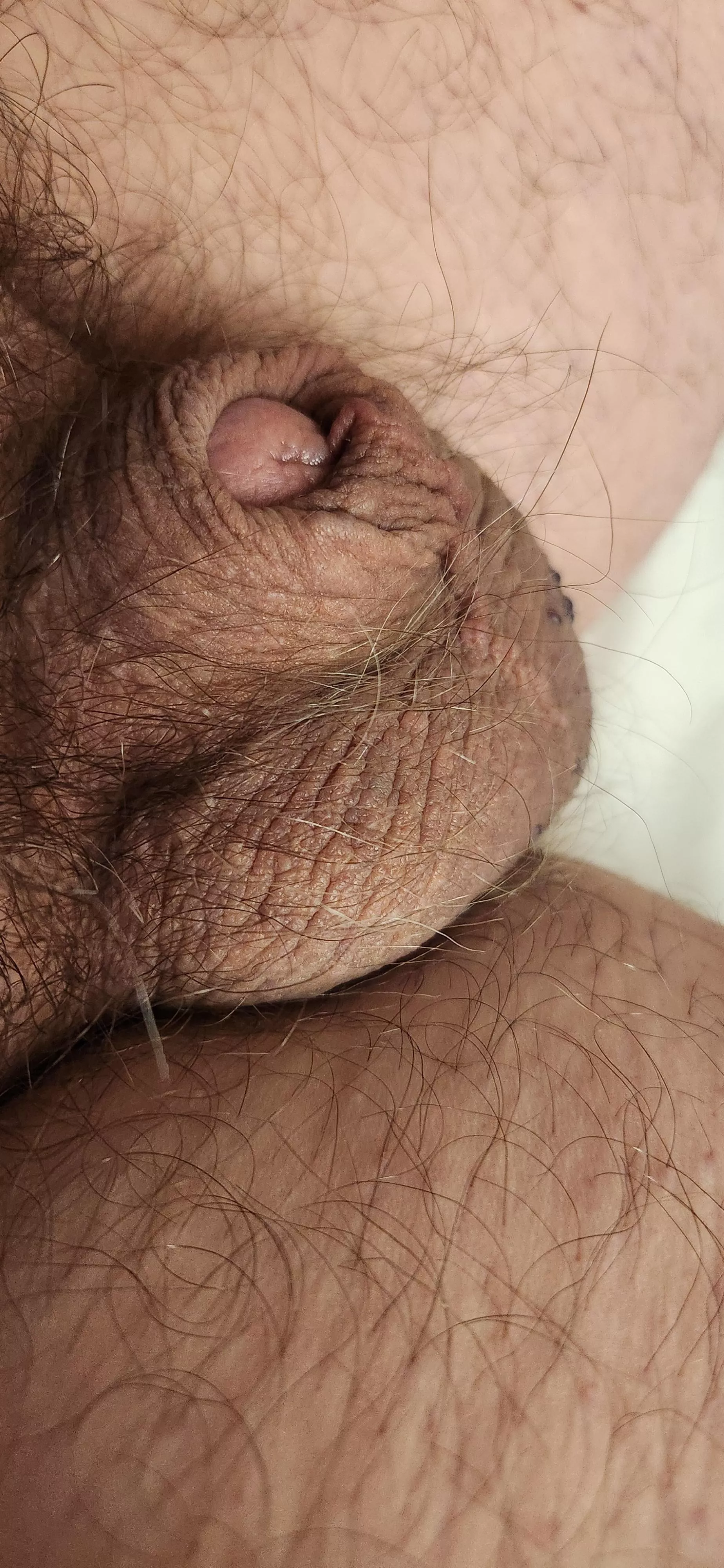 Almost all I have. Can you beat it? 