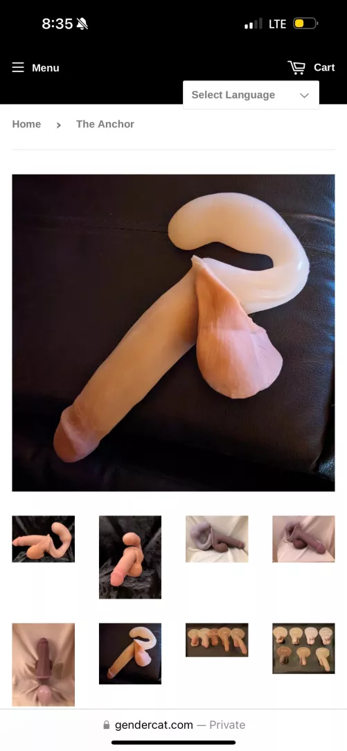 Anchor - Gender Cat question