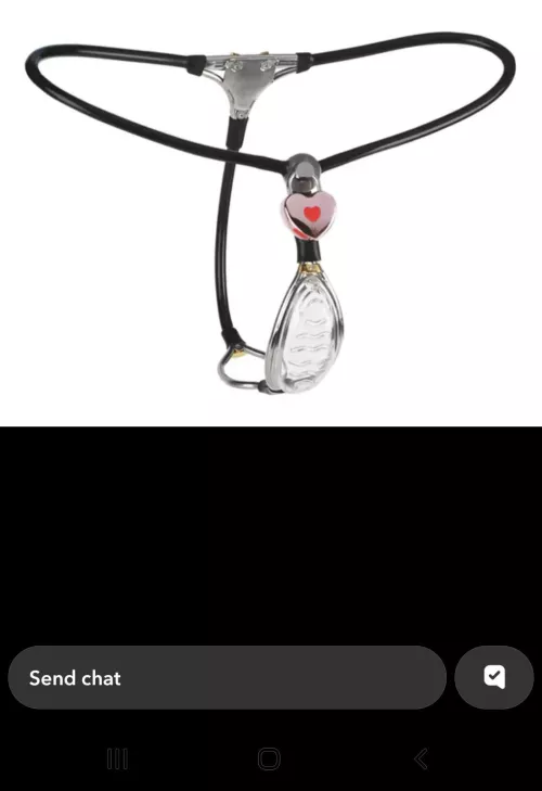 Cable belt with shield