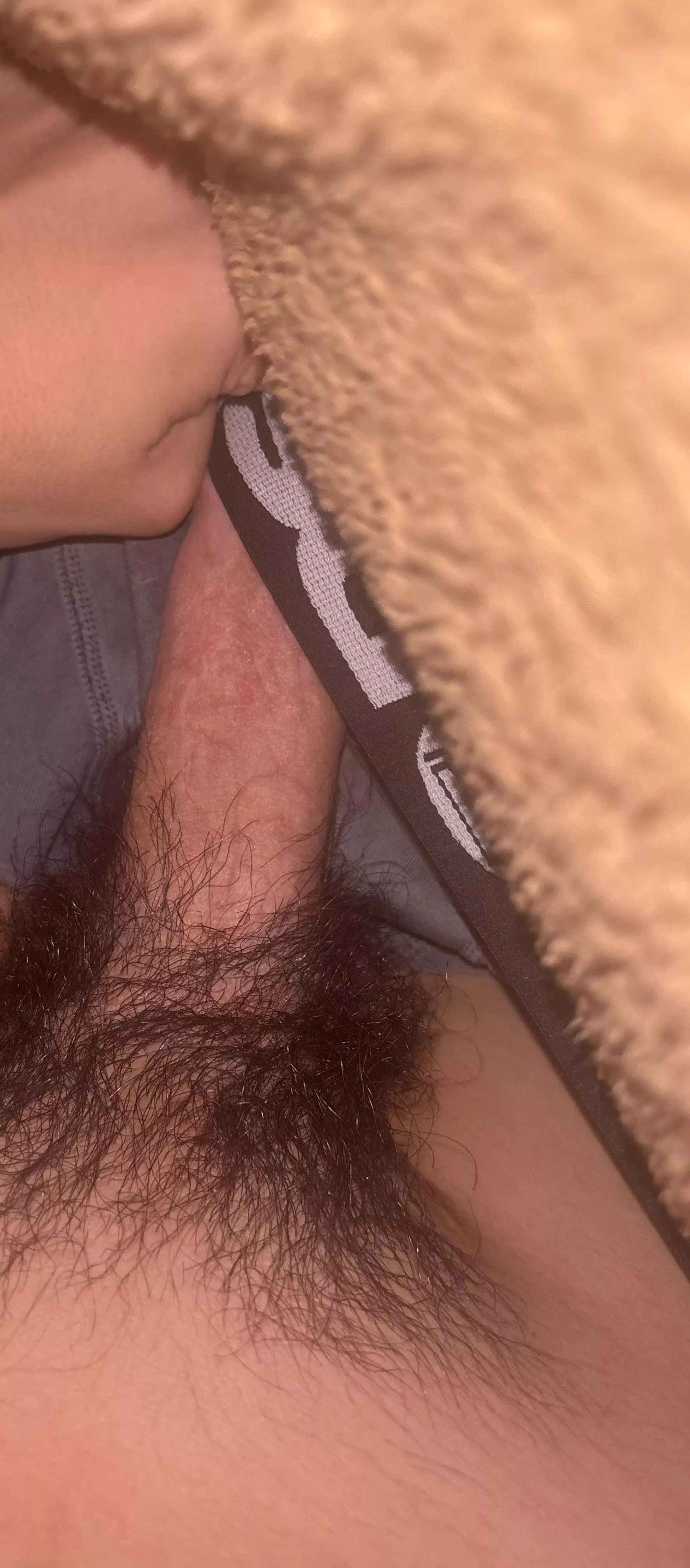 Come over and suck me in your car