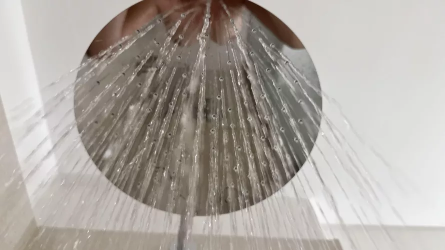 Do you see what I see? 