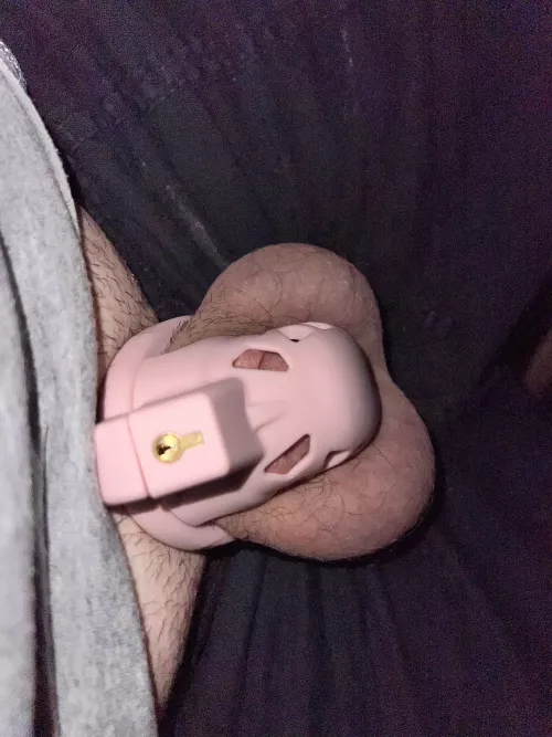 Driving around town showing my cage