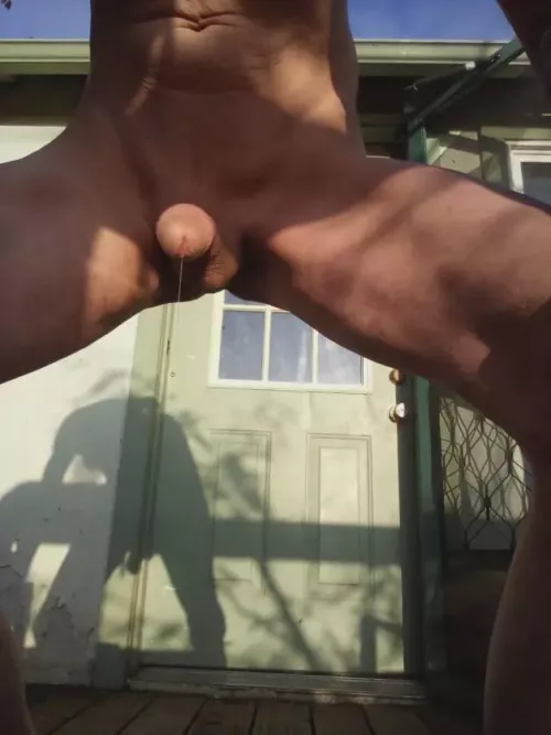 Even a Pink Flamingo can make a Drip...