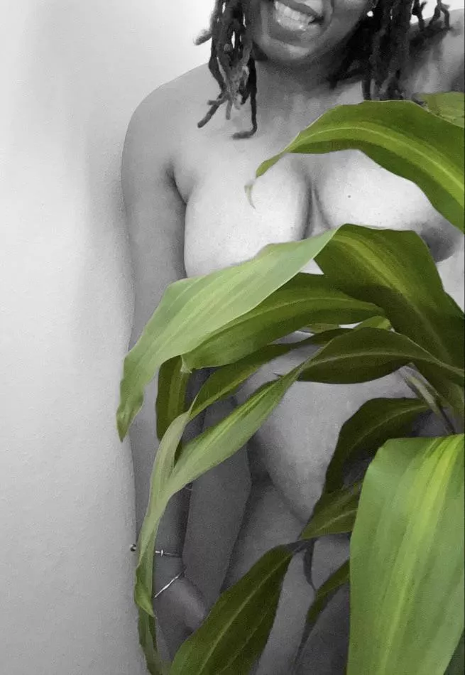 [F]ancy a game of hide ‘n seek?