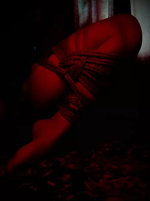 Futo of the month? Seen this a lot, made it from photos as opposed to tutorial 