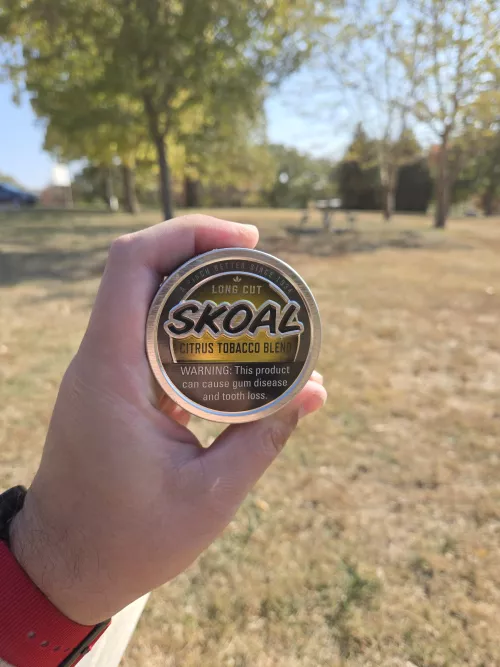 Good morning with some Skoal Citrus!