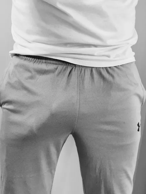 Greyscale Grey Sweats [M]