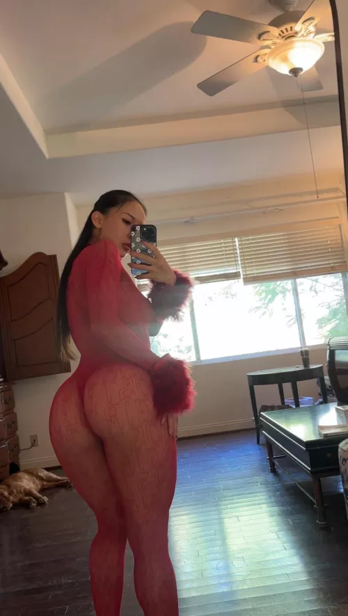 Hope you’re into thick Koreans 