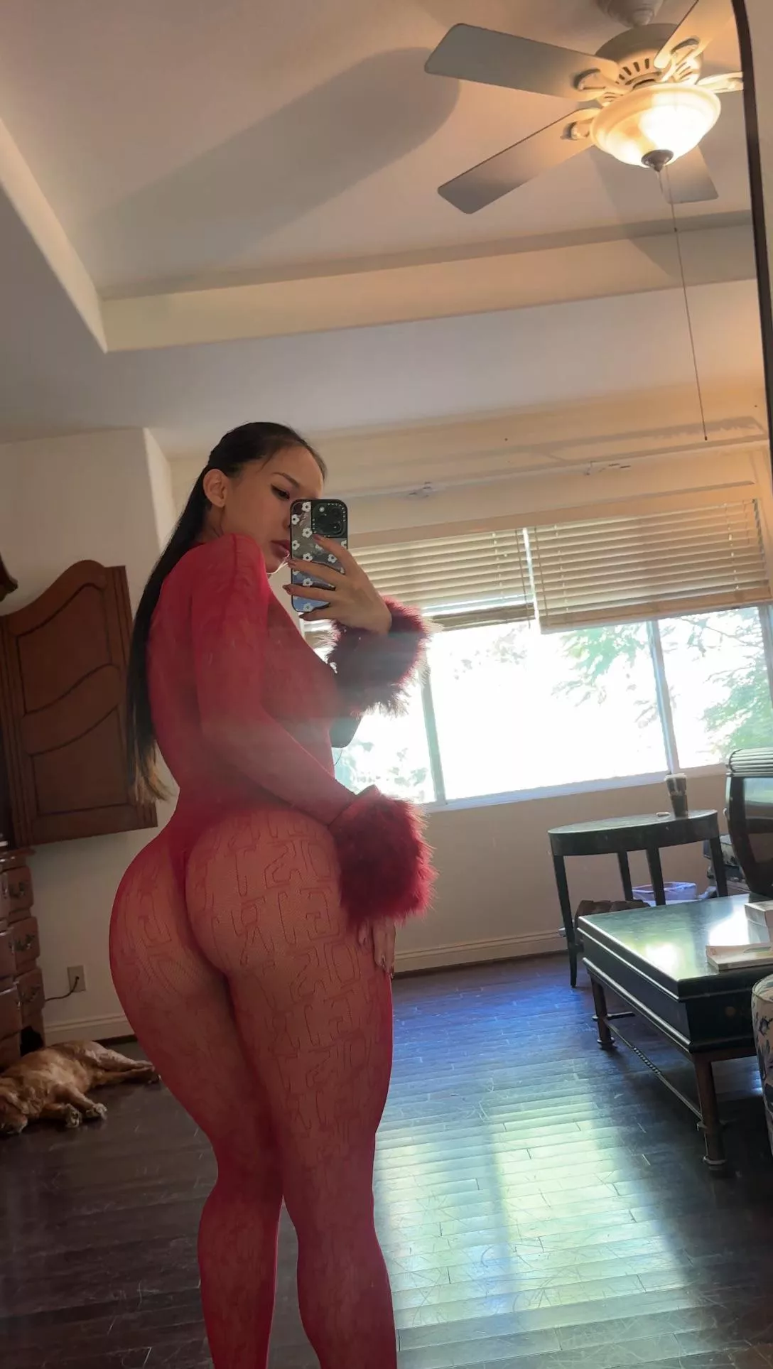 Hope you’re into thick Koreans 