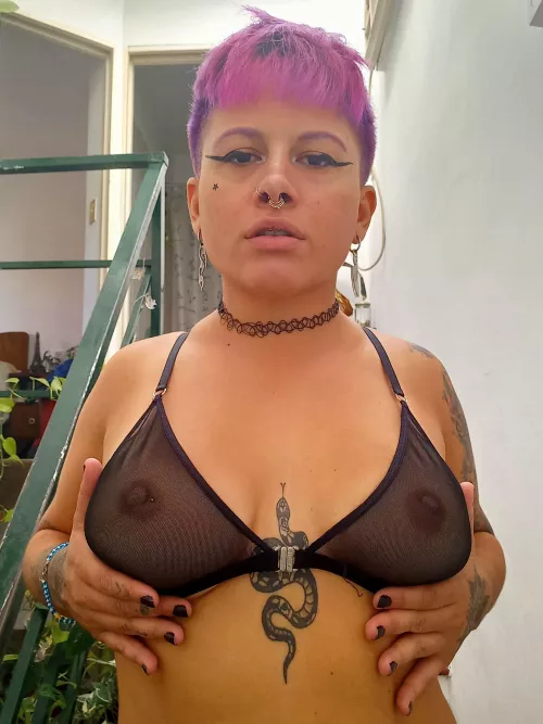 If you look at my tits you have to suck them 