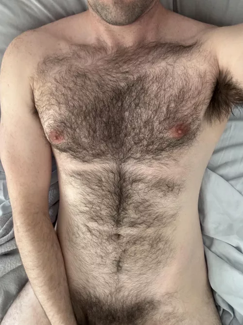 I’ll be your blanket