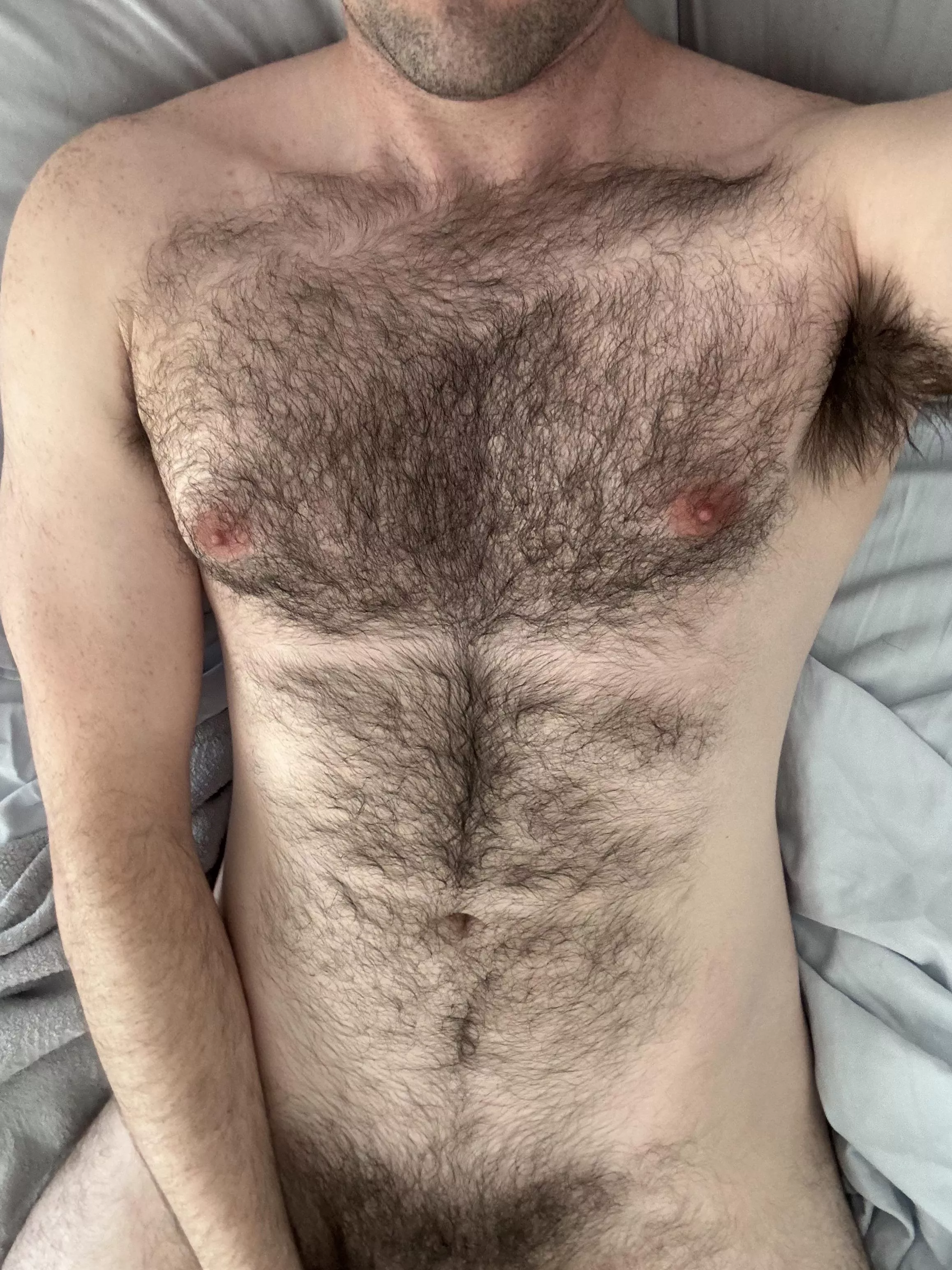 I’ll be your blanket