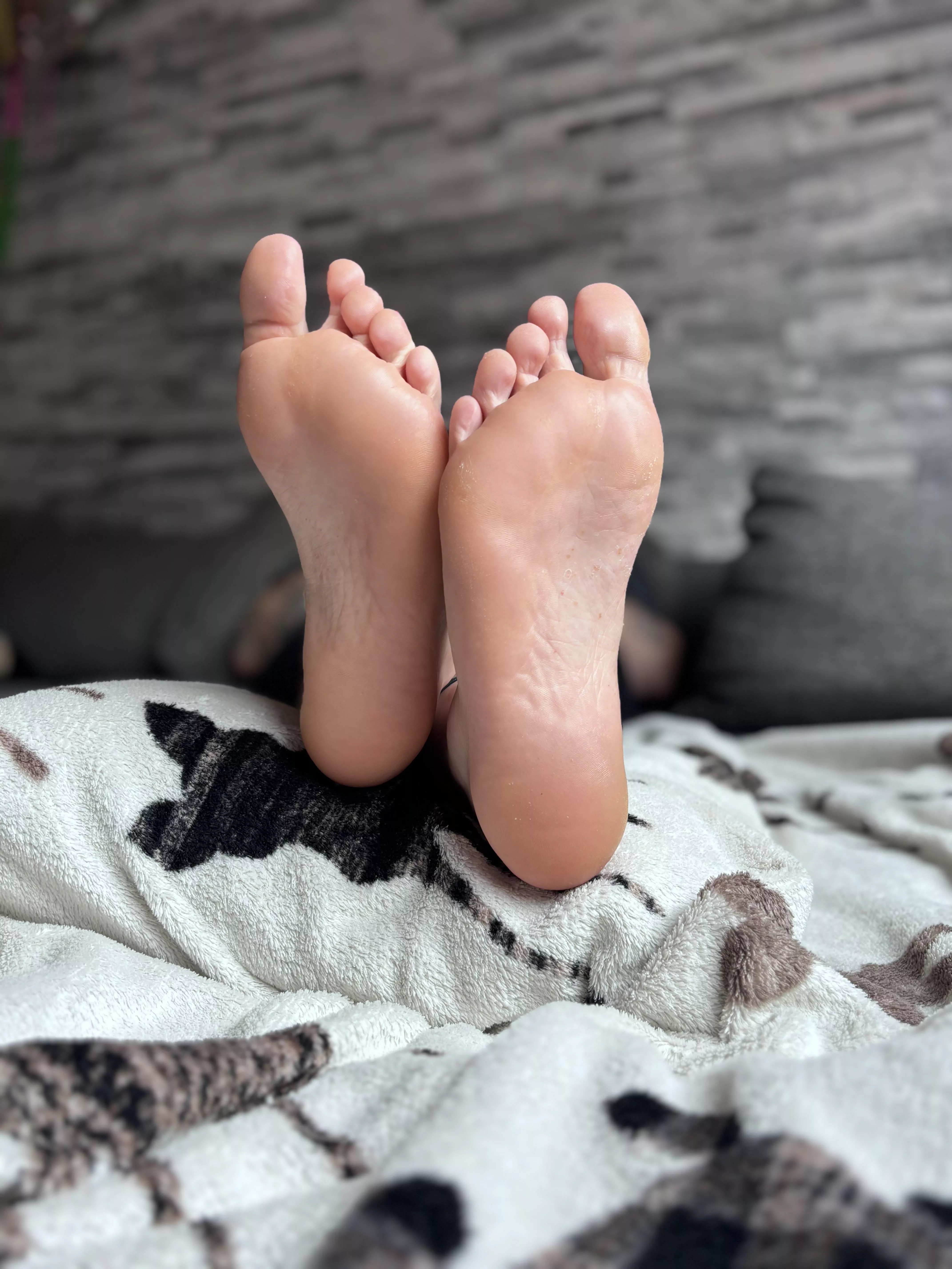 It's cold outside tomorrow and I'm lying under the covers. You can only use the floor to worship my feet