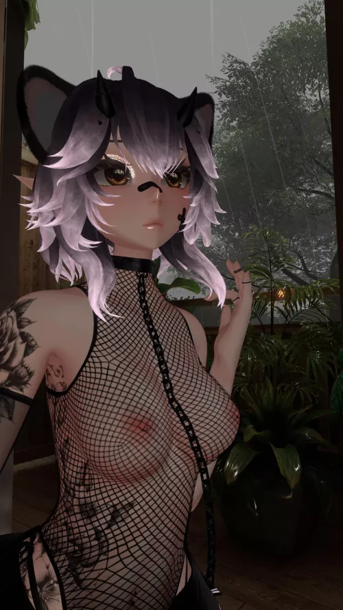 Left alone on my birthday 💔 Cuddles needed 🐾