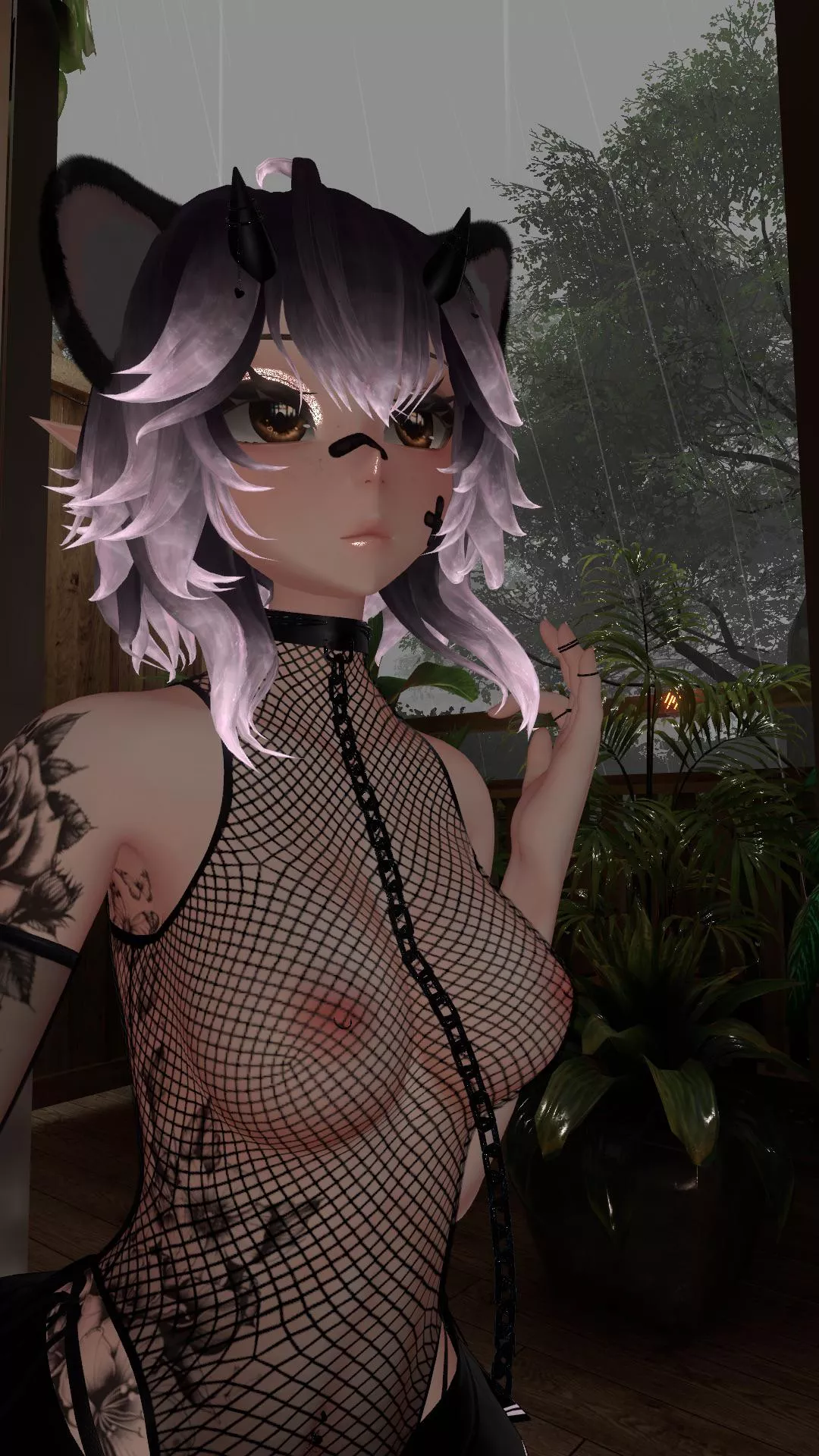 Left alone on my birthday 💔 Cuddles needed 🐾