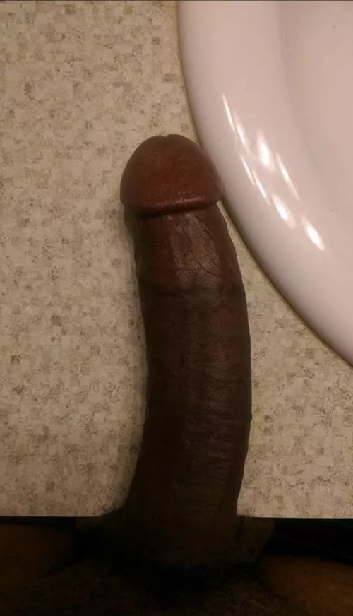 Looking for that next hot wife 