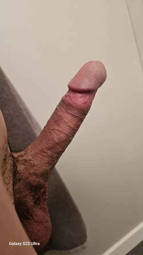 (M) who want a stud ?