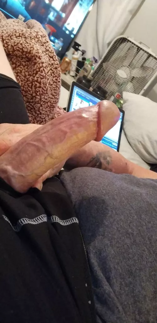 MfF franklin spun fun