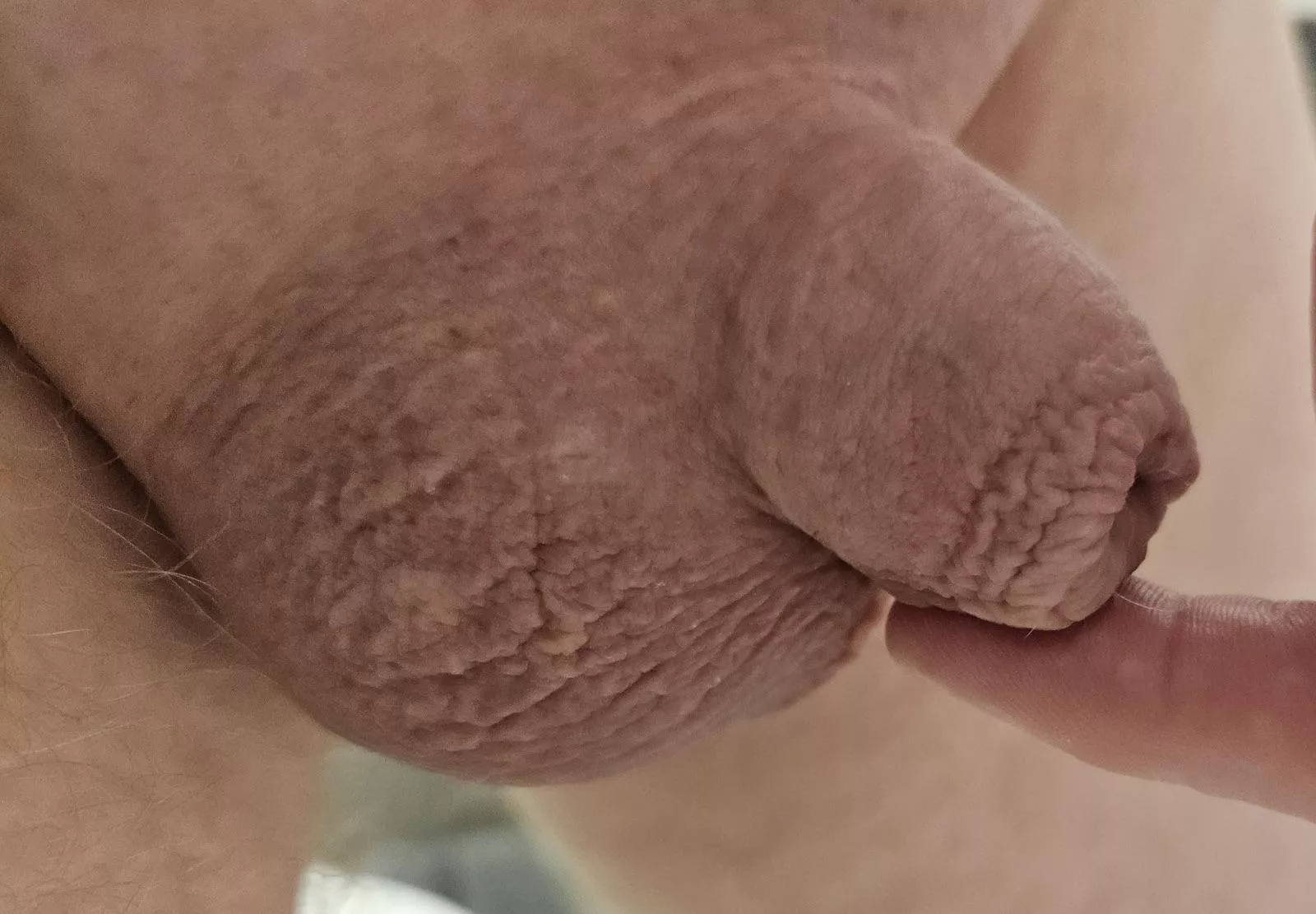 My cuck was cold this morning.. look how sad this is.  All shriveled up and hiding. 