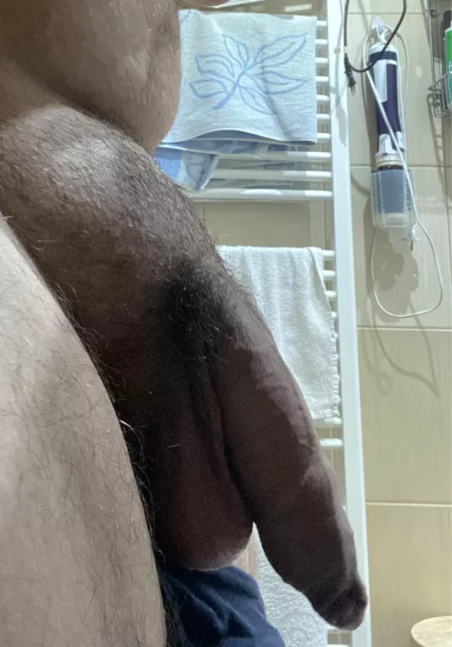 Opinion on my penis?