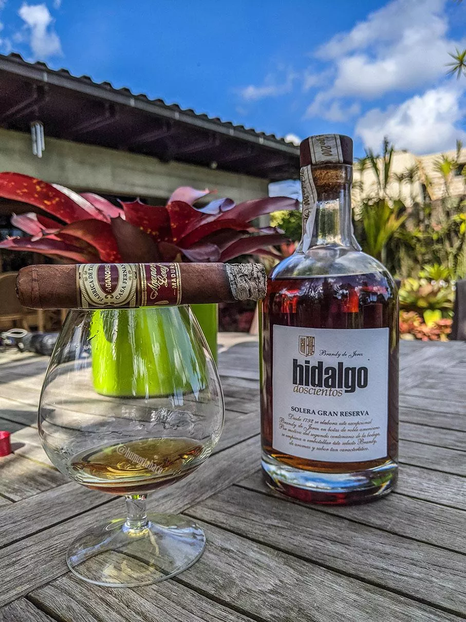 Pairing Chronicles #5: old school Aganorsa Leaf with Spanish brandy