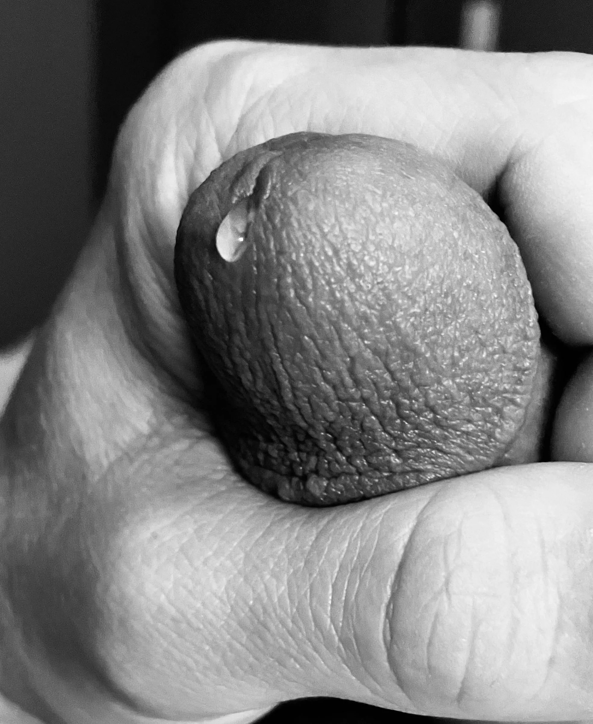 Perfect clear drop (48)