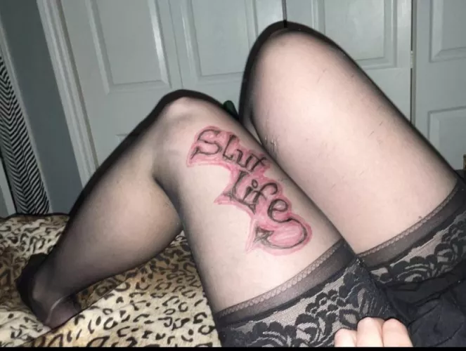 Pretty much sums it up !