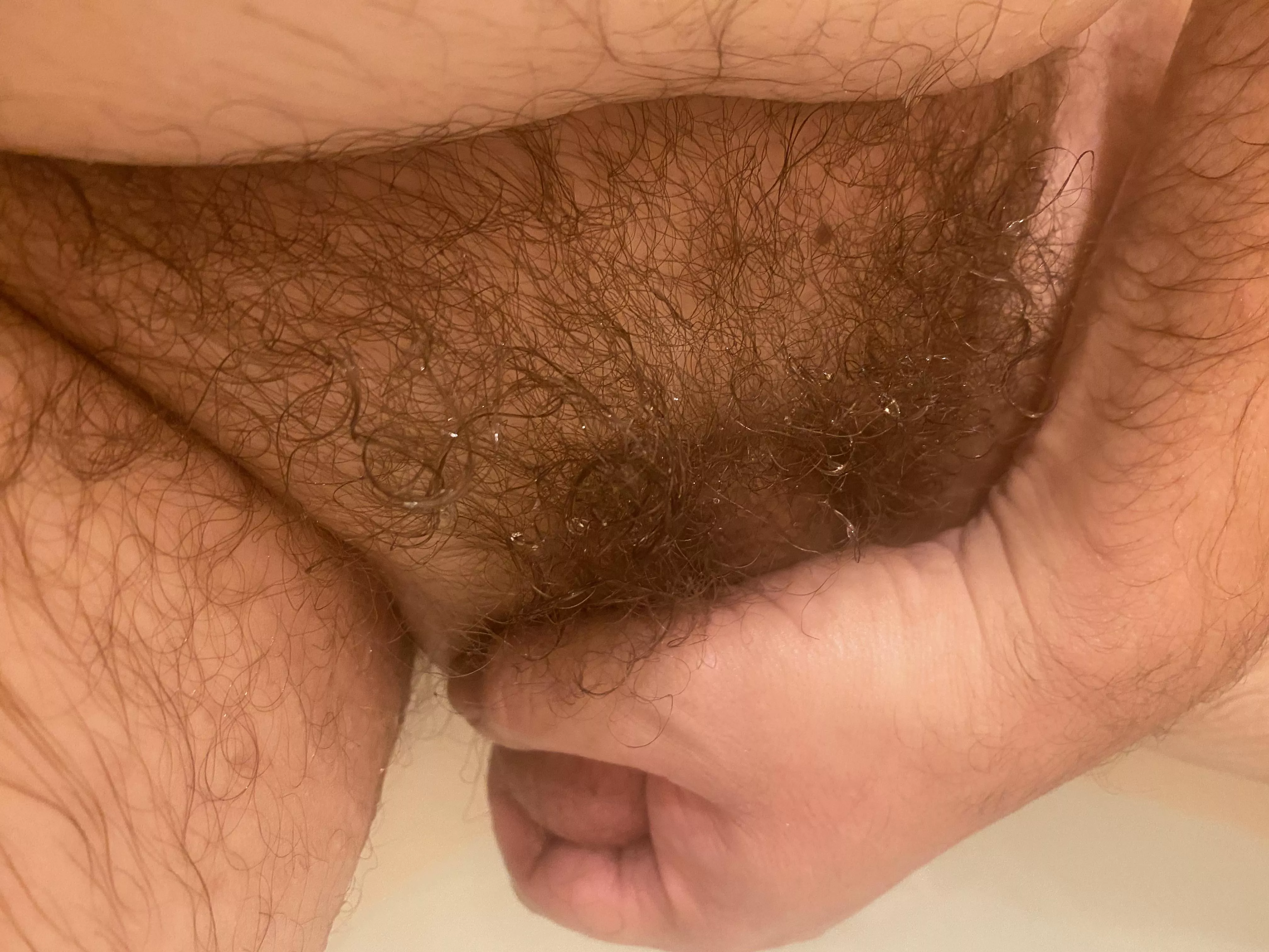 Pubic hair.  Time to shave.  Who wants it?  Dm me or see link to my profile in comments. 