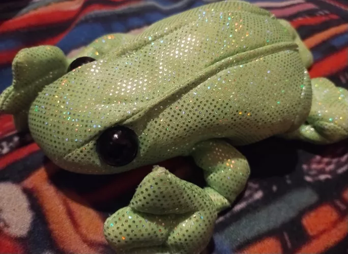 Pup just wanted to show you guys pups favorite toy.. :3