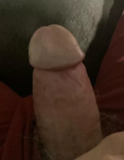 Reddit makes me horny