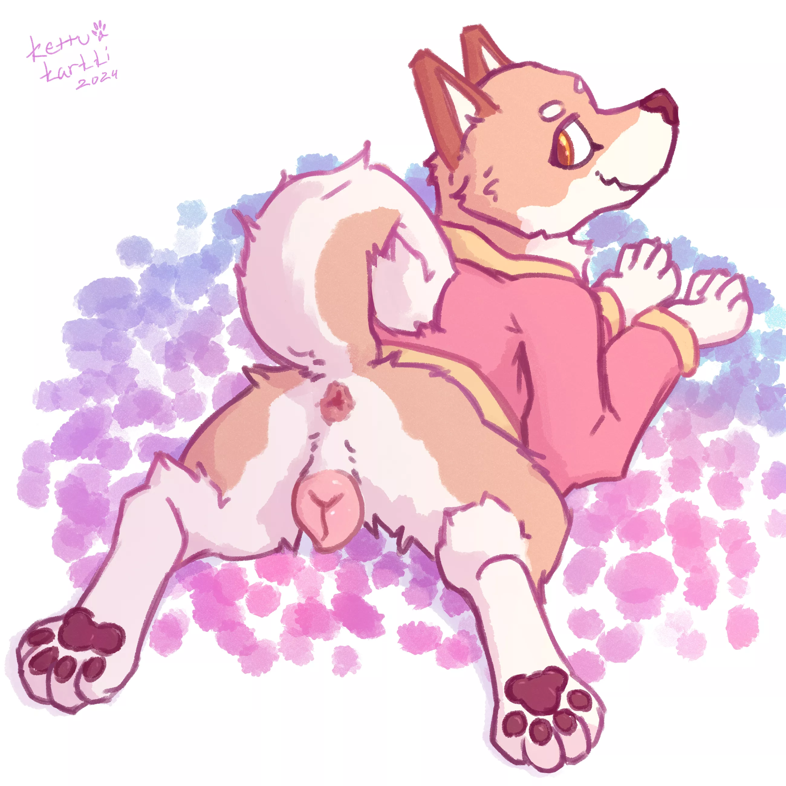 Shib (kettukarkki) [F]