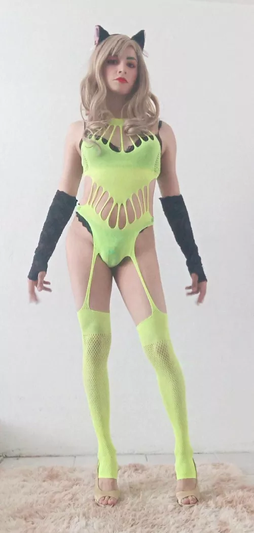 What is love? ❤️