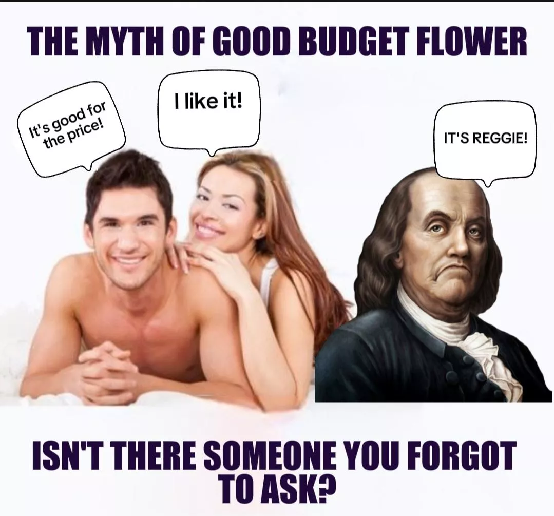 Whenever I see the fights in budget reviews...