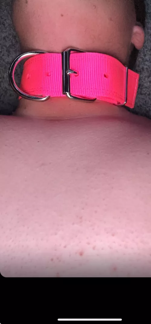 Who wants to fuck my ass and throat ? 