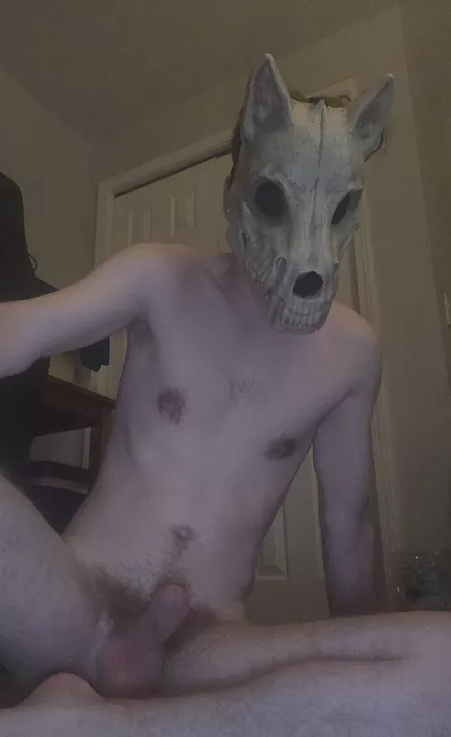 Who wants to tame this wolf