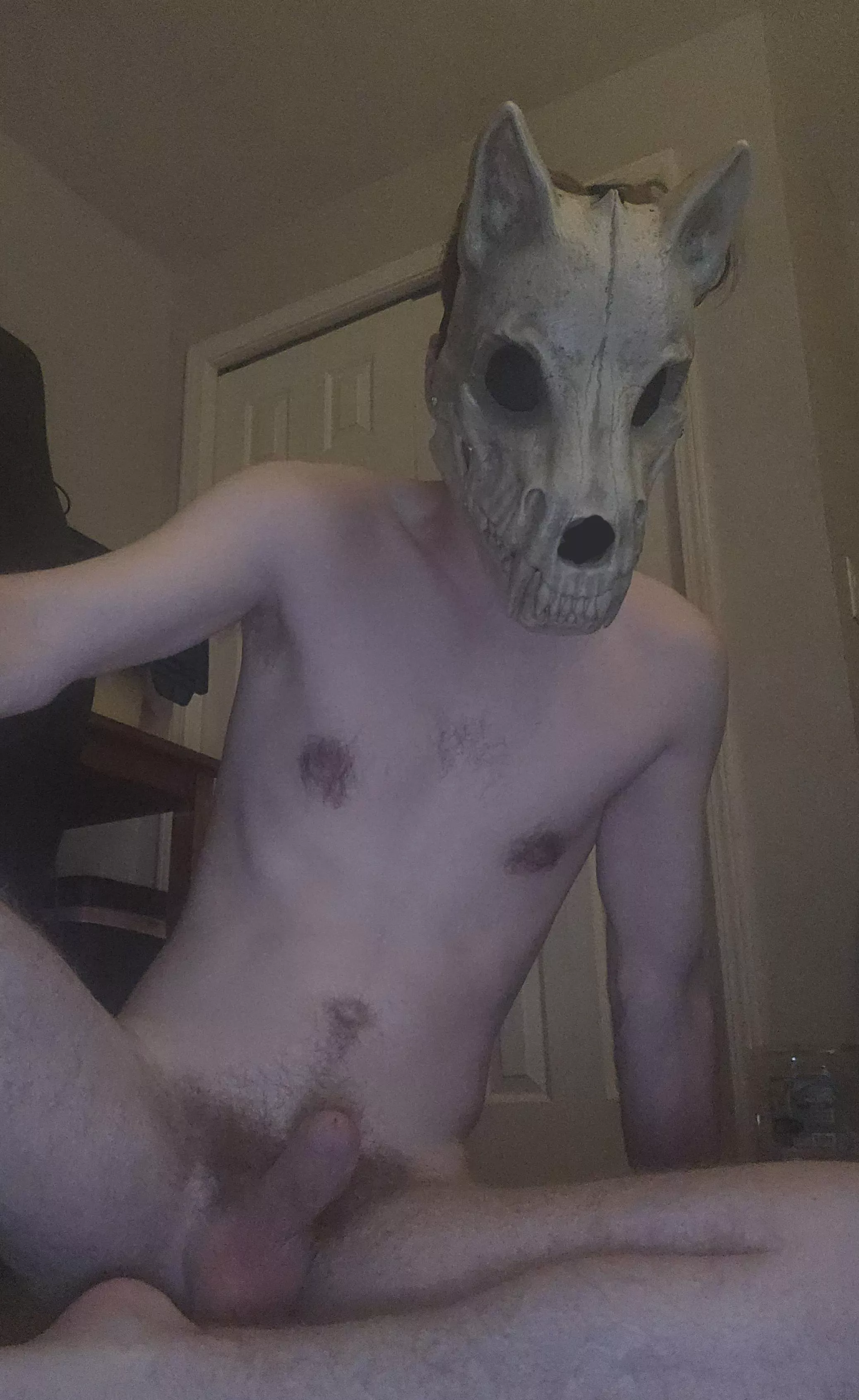 Who wants to tame this wolf