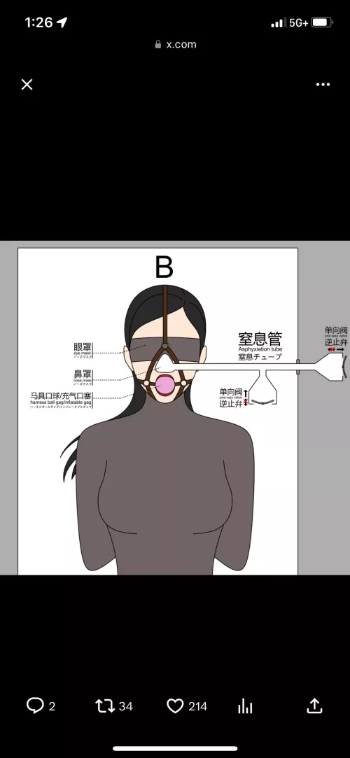 Would anyone know a possible way to make one of these DIY for a vacbed/vacbag?